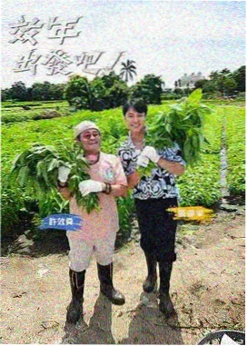 乘风破浪的姐姐5 久久影视在线观看